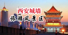 逼逼鸡鸡爽爽歪歪视频中国陕西-西安城墙旅游风景区